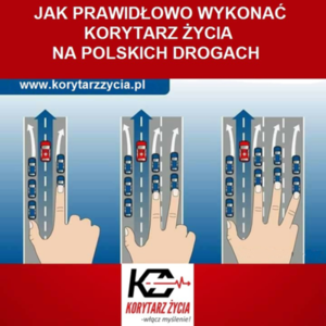 Ikonografika przedstawiająca zasady dotyczące tak zwanego korytarza życia