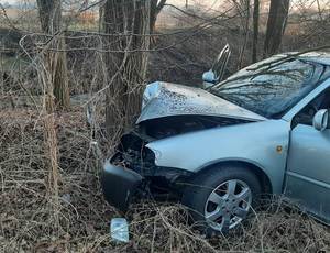 Uszkodzone Audi po uderzeniu w przydrożne drzewo