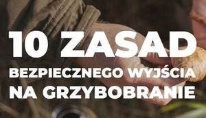 Bezpieczne grzybobranie