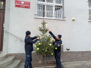 Choinka z elementami odblaskowymi stojąca obok wejścia do Komendy Powiatowej Policji w Miliczu