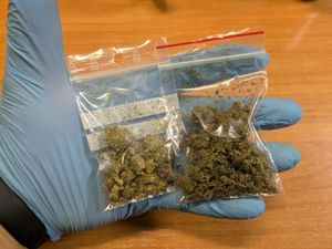 Przyjechali do pracy – trafili w ręce policji