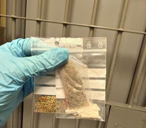 Nerwowe zachowanie zwróciło uwagę policjantów. Interwencja w lesie zakończona zatrzymaniem.