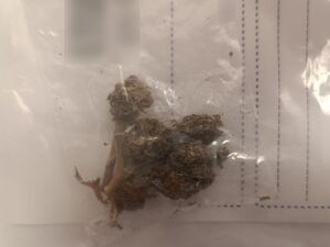 Woreczek z zabezpieczoną marihuaną