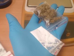 Zatrzymany mężczyzna odpowie za posiadanie kilkudziesięciu porcji narkotyków
