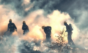 Zdjęcie poglądowe - płonące trawy