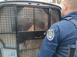 Zatrzymany wandal w policyjnym radiowozie