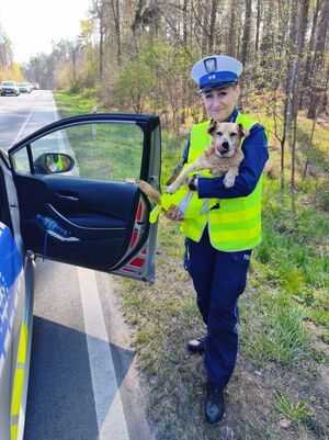 policjantka z psem na rękach
