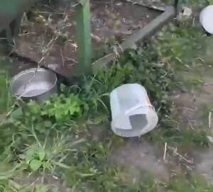 Miska na wodę