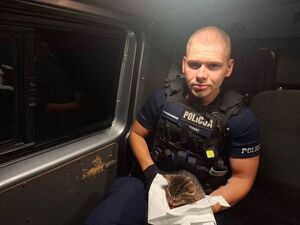 policjant z kotkiem w radiowozie