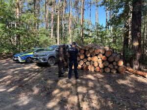 Policjanci w trakcie wspólnych działań ze strażnikami leśnymi
