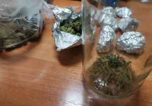 Marihuana zabezpieczona przez policjantów w mieszkaniu 24-letniej mieszkanki gminy Krośnice