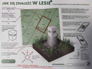 Plakat z informacjami dotyczącymi bezpiecznego poruszania się po lesie w czasie grzybobrania