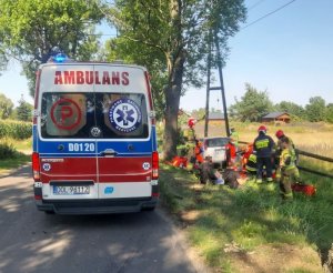 Służby medyczne w trakcie udzielania pomocy uczestnikom wypadku drogowego